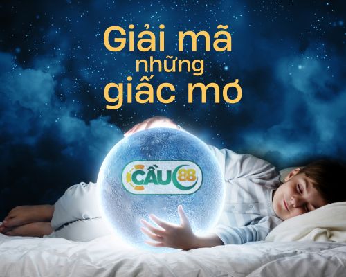  Giải mã 14 giấc mơ thường gặp